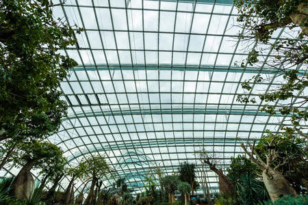 Beautiful architecture building flower dome garden and greenhouse forest landmark of singapore city for travelのeditorial素材