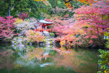 Beautiful Daigoji temple with colorful tree and leaf in autumn season Kyoto Japanのeditorial素材