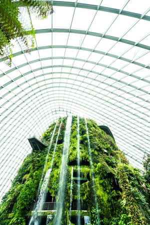 Beautiful architecture building flower dome garden and greenhouse forest landmark of singapore city for travelのeditorial素材
