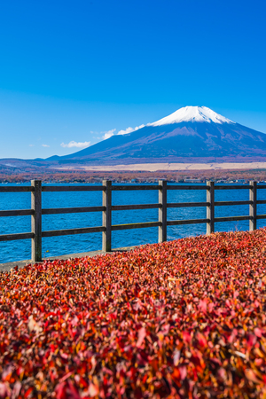 Beautiful landscape of mountain fuji around yamanakako lake Japanの写真素材