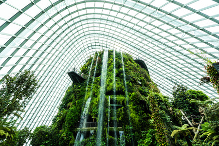 Beautiful architecture building flower dome garden and greenhouse forest landmark of singapore city for travelのeditorial素材