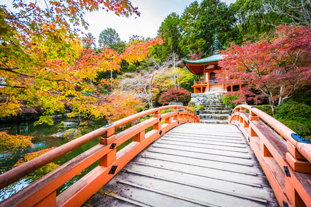 Beautiful Daigoji temple with colorful tree and leaf in autumn season Kyoto Japanのeditorial素材