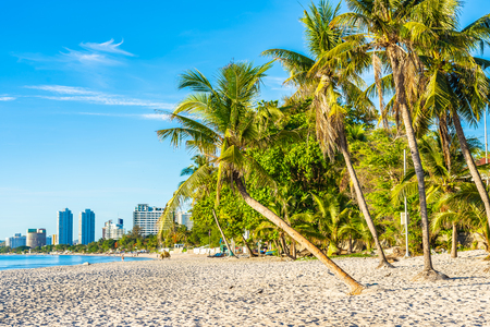 Beautiful outdoor landscape of sea ocean and beach with coconut palm tree in hua hin Thailandの写真素材