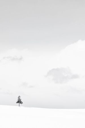 Beautiful outdoor nature landscape and christmas tree in winter snow season with copy spaceの写真素材