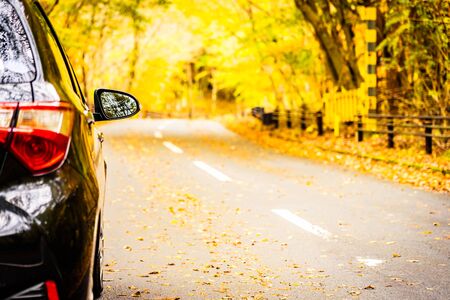 Car on the road around the forest with tree in autumn seasonの写真素材