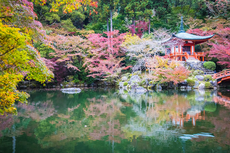 Beautiful Daigoji temple with colorful tree and leaf in autumn season Kyoto Japanのeditorial素材