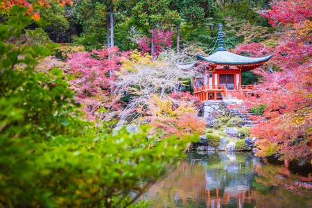 Beautiful Daigoji temple with colorful tree and leaf in autumn season Kyoto Japanのeditorial素材
