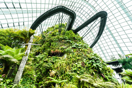 Beautiful architecture building flower dome garden and greenhouse forest landmark of singapore city for travelのeditorial素材