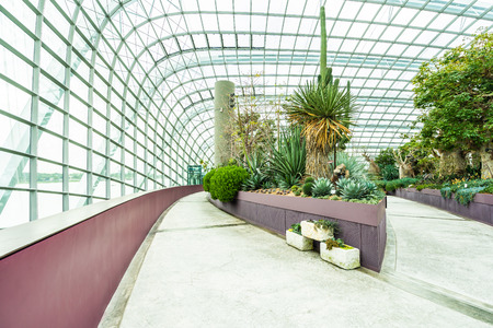 Beautiful architecture building flower dome garden and greenhouse forest landmark of singapore city for travelのeditorial素材