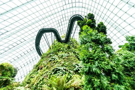Beautiful architecture building flower dome garden and greenhouse forest landmark of singapore city for travelのeditorial素材