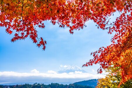 Beautiful landscape of mountain fuji with maple leaf tree around lake in autumn seasonの写真素材