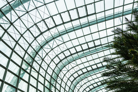 Beautiful architecture building flower dome garden and greenhouse forest landmark of singapore city for travelのeditorial素材