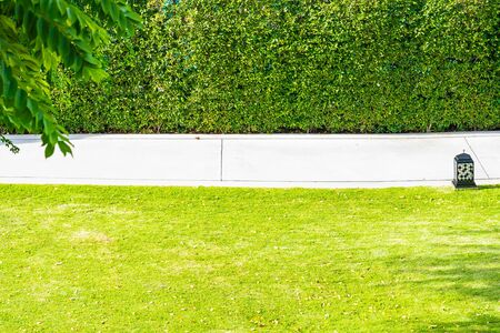Path stone for walk in the outdoor garden