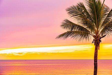 Beautiful sea ocean beach with palm tree at sunrise time for holiday vacation