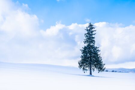 Beautiful outdoor nature landscape with single tree in snow winter weather season with sky and cloudの写真素材