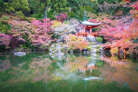 Beautiful Daigoji temple with colorful tree and leaf in autumn season Kyoto Japanのeditorial素材