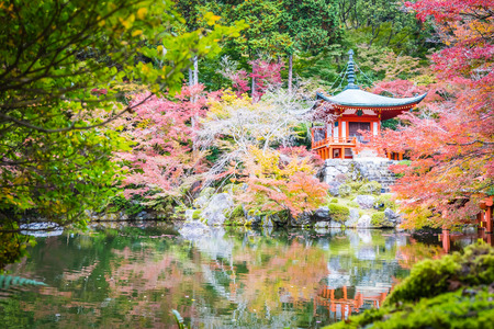 Beautiful Daigoji temple with colorful tree and leaf in autumn season Kyoto Japanのeditorial素材