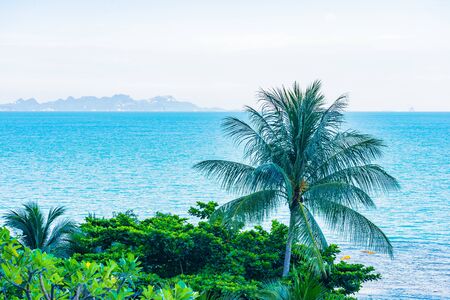 Beautiful outdoor beach sea ocean with coconut palm and other tree around island for travel in...