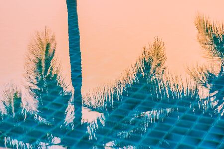 Beautiful nature with palm tree around outdoor swimming pool in hotel resort nearly sea ocean beachの写真素材