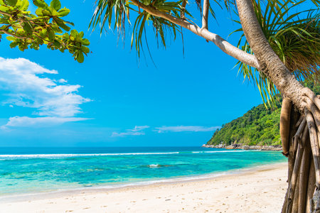 Beautiful tropical beach sea ocean with coconut and other tree around white cloud on blue sky for leisure travelの写真素材