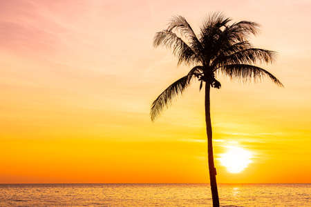 Beautiful landscape of sea ocean with silhouette coconut palm tree at sunset or sunrise for nature backgroundの写真素材