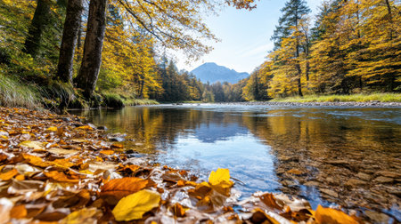 A serene autumn landscape with colorful leaves reflecting in calm riverの素材