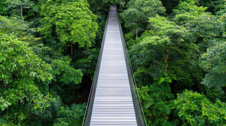 A suspended walkway connects trees in lush green forest, offering unique perspectiveの素材