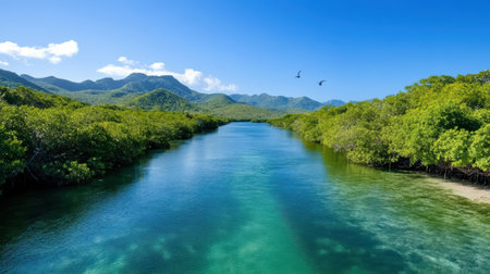 A tropical river scene with vibrant green mangroves and clear waterの素材