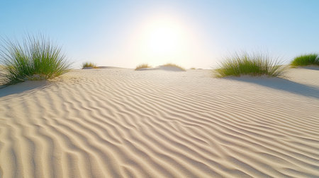 Sunlight shines over sand dunes with gentle grass, creating serene landscapeの素材