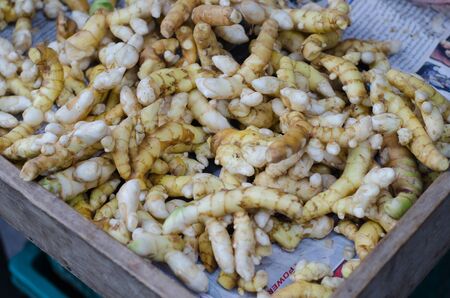 Curcuma parviflora Wall heap on wooden trayの写真素材