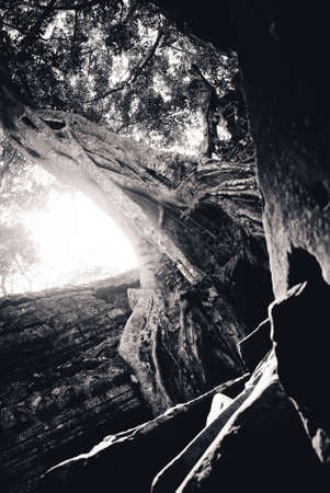 Angor watの写真素材
