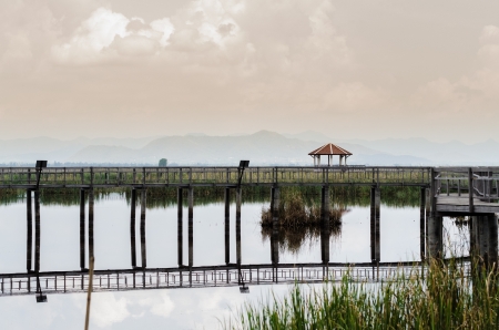 Bung Bua (lotus pond) Khao Sam Roi Yot National Park in Thai landの写真素材
