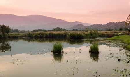 Reflection on Lake at Suan Phung Ratchaburiの写真素材