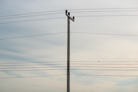Old Electric pole on the streetの写真素材