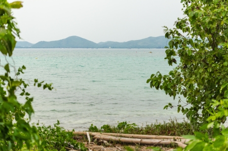 View from tree frame at the seaの写真素材