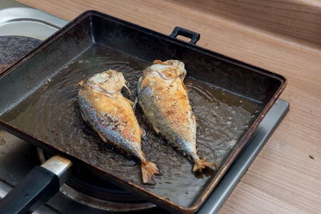 Mackerel fried in the kittchenの写真素材