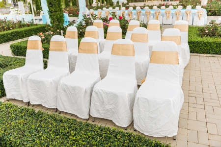 Wedding chairs in row decorated with golden color ribbon in the gardenの写真素材