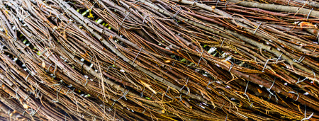 the wood textures closeup decorate