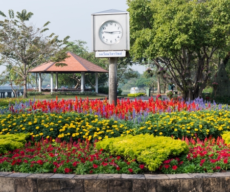colorful flower garden in the morningの写真素材
