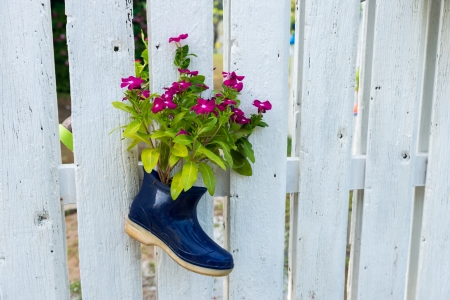 little flower in the shoe on the wood decorateの写真素材