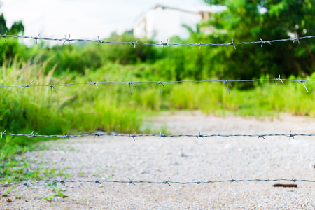closeup of a barbed wire