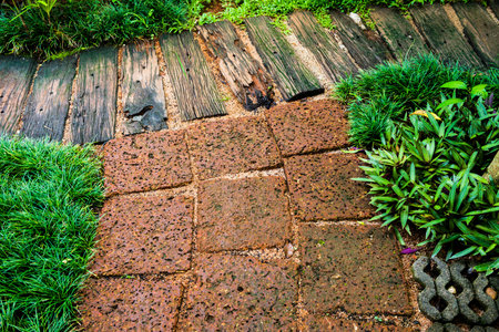 pathway in the park, gardenの写真素材