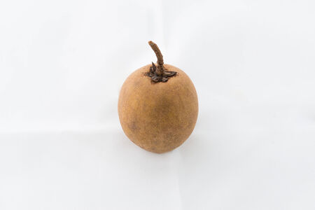 Whole fresh single sapodilla isolated on white backgroundの写真素材