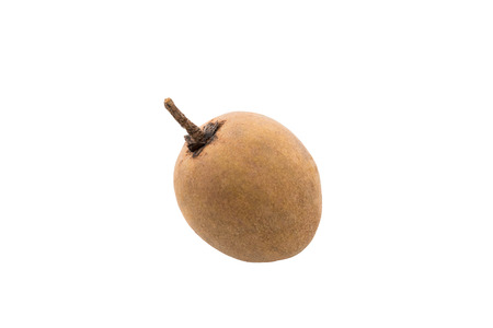 Whole fresh single sapodilla isolated on white backgroundの写真素材