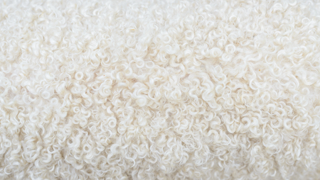 close up of lambswool texture, background