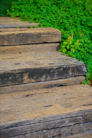 Vintage Wooden staircase in the garden