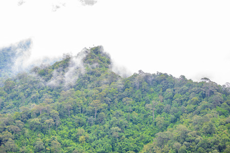 Mountain fog scenic at thongphaphum, kanchanaburi, thailand