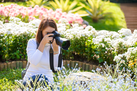 Female photographer taking pictures of flowers in flowers gardenの写真素材
