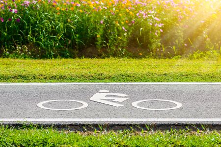 A bike lane for cyclist. Bicycle lane in the park