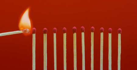 Burning matchsticks setting fire to its neighbors, a metaphor for ideas and inspirationの写真素材